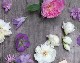 Famila I Fiori Commestibili